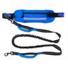 The most popular running dog extra-long dog leash HJ-11001 multifunctional sports waist bag pet