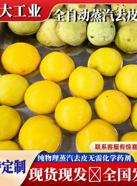 黄桃头蒸汽去皮机去皮均匀损耗小 果蔬头生产线脱皮主机设备