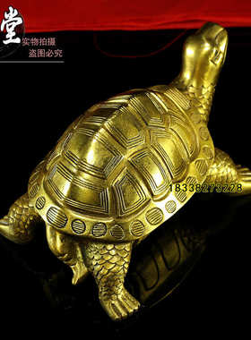 摆件金属铜乌龟贺寿饰祝寿龟工艺礼品黄铜大小号  巴西龟装饰摆