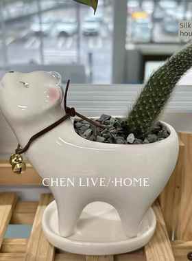 采购产品猫花盆，猫尾柱花盆，陶瓷创意装饰饰品，桌面绿色植物，