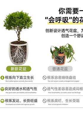 简约树脂落地花盆北欧大口径高盆波浪花盆客厅民宿商场彷真绿色植