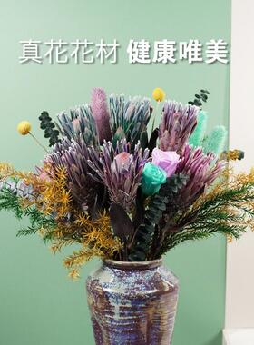 南非进口干 干花帝王花公主花班克木干 干燥花客厅高端进口真花花