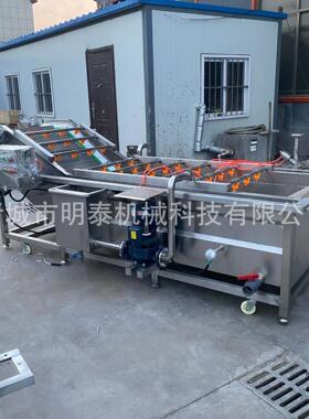 小油菜泡菠菜鼓泡洗菜QP-3000-机冲黄菜制作菜设备葡萄李子果蔬气