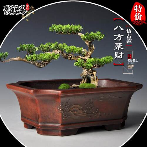 紫砂盆景盆 长方形马槽假山造景盆小叶紫檀文竹菖蒲盆栽花盆清仓 - 图2