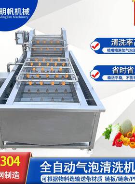全自动气泡清洗机喷淋式鼓泡清洗机大型商用洗果机