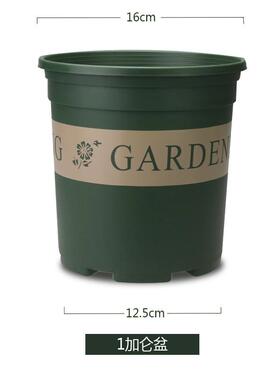 塑料批发种植园艺工具PP通用花瓶