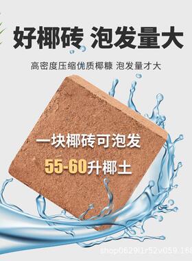 大块椰砖脱盐杀菌通用型种菜养花椰壳砖多肉绿萝乌龟冬眠椰糠花土
