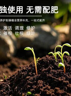 花肥抖音同款黑金聚能植物矿源水溶土壤微生物通用型肥料种植开花