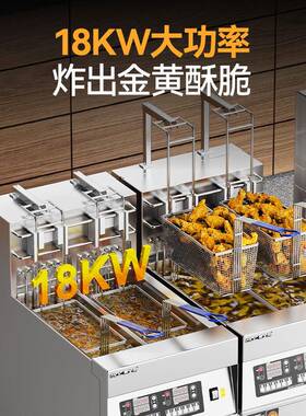 麦大厨商用电炸炉立式单缸双缸双筛自动升降连滤油车电炸锅炉