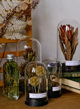 进口干花植物标本微景观玻璃套覆古饰品客厅展示软装创意生日礼物