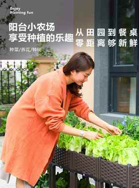 家用长方形种菜盆户外塑料花箱阳台蔬菜种植箱配件园艺生产