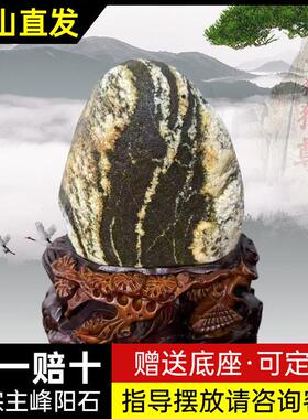 真泰山石天然原石泰山阳石室内室外镇宅招财补角办公室摆件靠山石