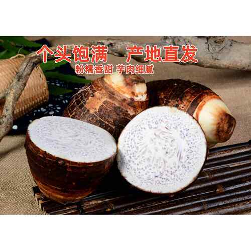 广西荔浦新鲜大粉芋头粉糯农家自种现挖特产毛芋头香芋槟榔芋蔬菜 - 图0