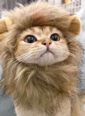 Cat Cosplay Dress Up Pet Hat Lion Mane for Cat Puppy Lion Wi