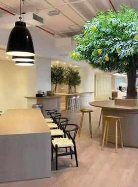 室内大型假植摆件绿盆栽柠檬子树造景橘落地树子树装饰仿真桔仿真