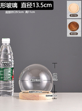 厂家跨境永生干花玻璃装饰摆件