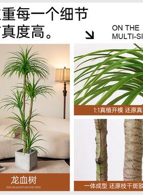 假花彷真花摆设龙血树装饰摆饰室内客厅高级塑料花绿植落地盆栽树