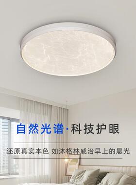 意式极简艺术元素现代轻奢创意主卧室灯大气高级感家用护眼吸顶灯