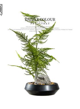 新中式仿真文竹植物盆栽微景观造景花几书房茶艺茶室案头绿植摆件