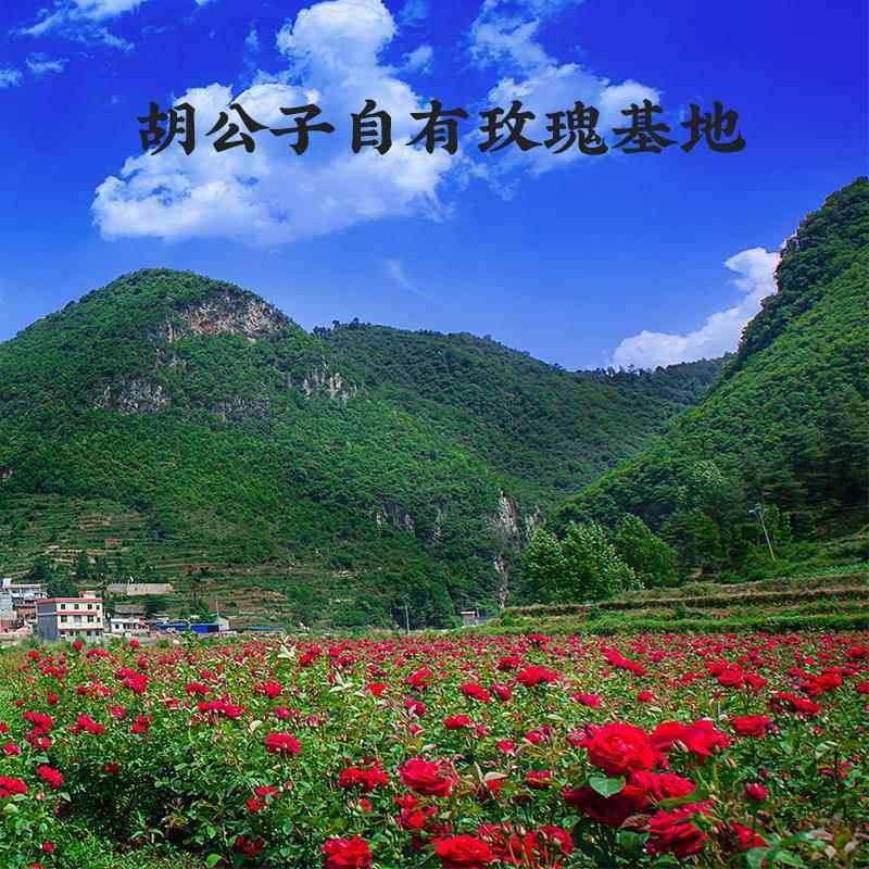 胡公子云南特产鲜花饼四口味中秋酥点心花香美食糕点240克*2盒,淘宝优惠券,粉丝福利购,淘宝优惠卷