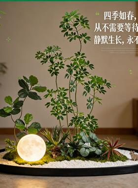彷真绿色植物造景组合阳台室内景观橱窗装饰植物景观庭院门市楼梯