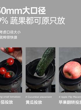 110V伏超大口径现榨家用原汁机榨汁机渣汁分离全自动商用果汁机