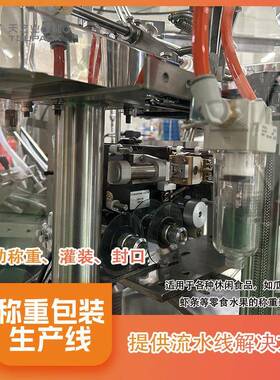 九制梅乌梅金桔果脯分装称灌装机零食包装秤十头称重分装机