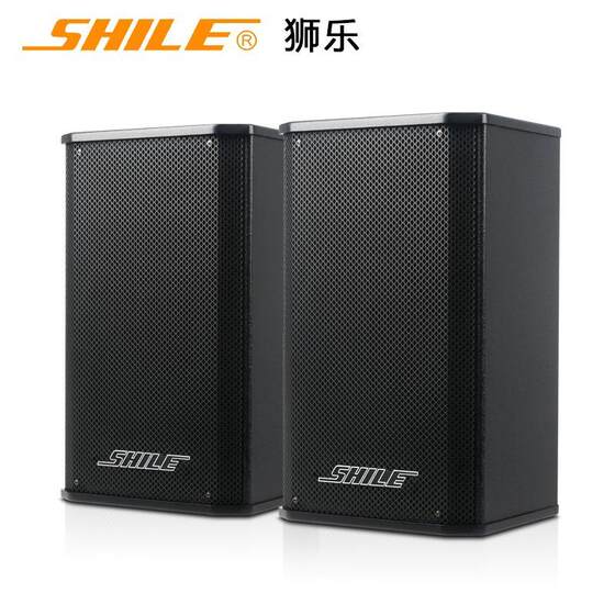 狮乐BX108/AV108会议室音响套装功放组合培训店铺超市壁挂音箱