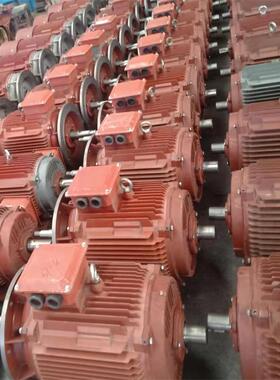 山东厂家直供 YEJ-132M2-6-5.5KW 电磁制动三相异步电机 质量保障