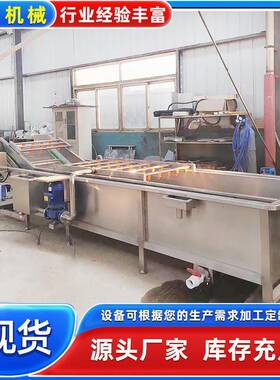 商用气泡蔬菜清洗机全自动杨梅果蔬清洗机大型菌菇清洗加工设备