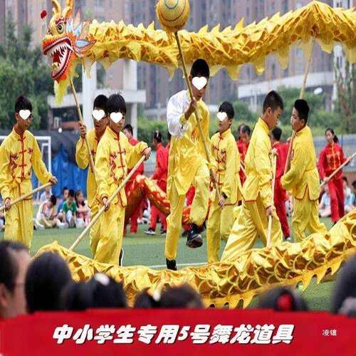 5号中小学生儿童舞龙舞狮道具绸缎布龙舞龙灯服装龙头9节钢丝圈龙 - 图3