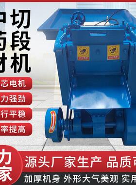 厂家供应大型材切段机商用不锈钢往复式根茎类材切片机