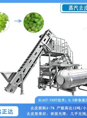 土豆蒸汽去皮机 果脯果干加工去皮设备 红薯山脱皮设备