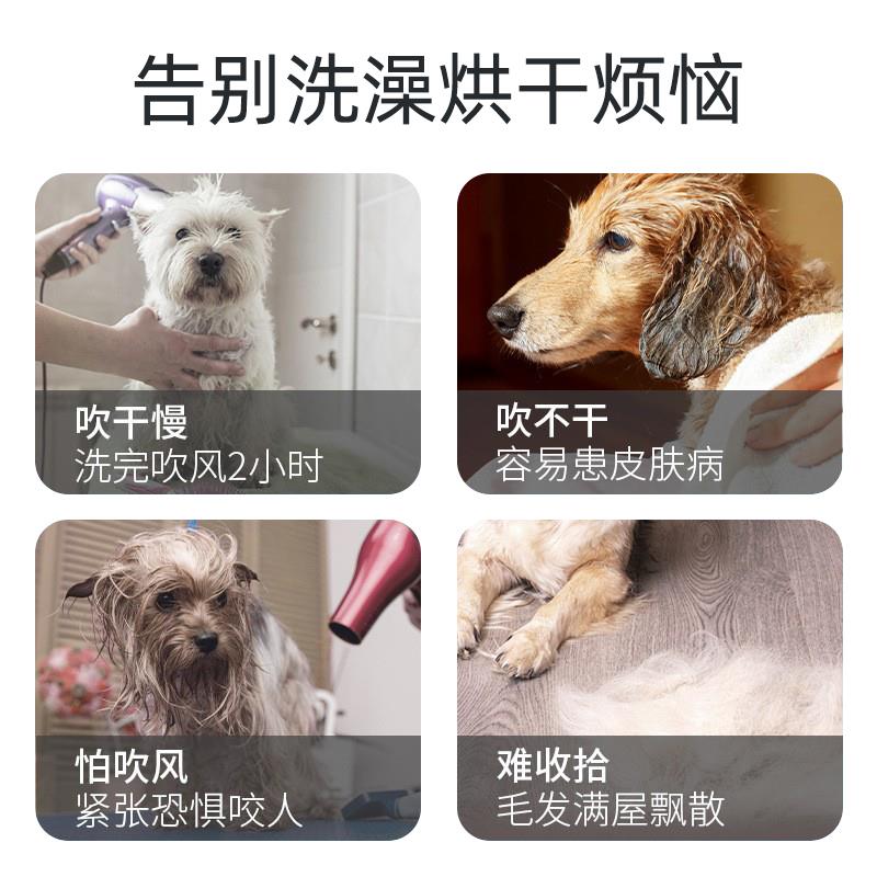 宠物烘干袋狗狗金毛洗澡中大型犬家用全自动吹毛烘干箱神器吹风机 - 图0
