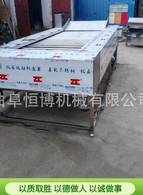 工业土洋葱分选机用豆千禧果大小筛果选机不锈钢苹商恒博砂糖橘分