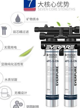 爱惠浦净水器4FC-S双联商用短款 操作台下安装 TWIN咖啡奶茶餐饮