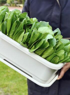 阳台种菜盆专用箱家用大号蔬菜种植箱塑料长方形庭院户外加厚花盆