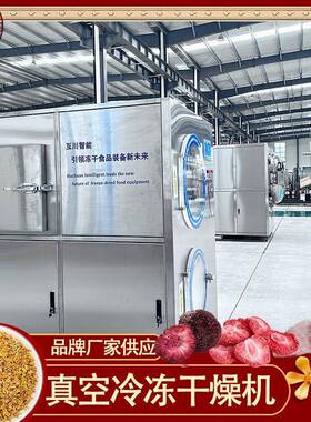 糖果原料蔬菜冻干机设备水果汁真空冷冻干燥机果蔬干粉冻干机