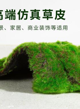 绿色彷真草坪地毯人造苔藓植物室内橱窗微景观盆景草皮造景布置