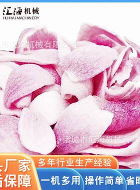 供应香菇脆真空油炸机 全自动苹果片真空油炸机 酥肉真空油炸机