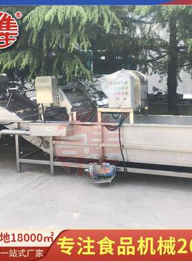 翻浪气泡清洗机芸豆清洗设备土豆番茄大枣花甲清洗机