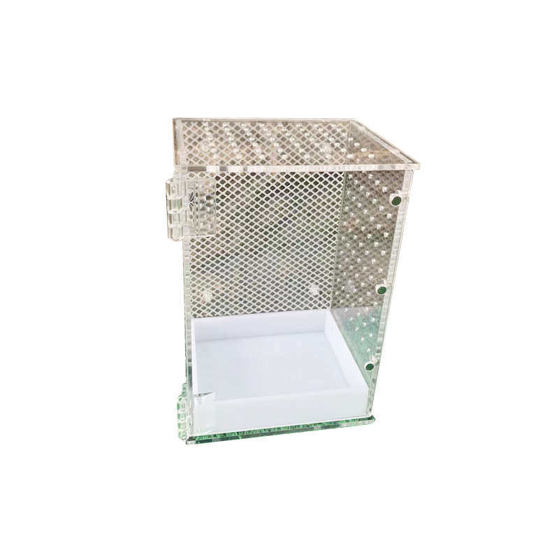 爬宠饲养箱树栖饲养盒树蛙饲养箱睫角蜘蛛蜗牛螳螂饲养盒昆虫盒,淘宝优惠券,粉丝福利购,淘宝优惠卷