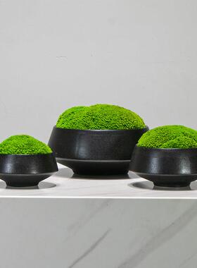 永生苔藓盆景盆栽彷真植物微景观中式桌面花艺客厅玄关前台摆件