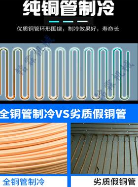 隧道米式果蔬食品流水线商536用青豆粒玉粒蔬菜隧道式速速冻冻机