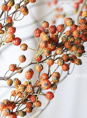 天然山归来南蛇藤干 干燥花花束真花插花长枝客厅桌面装饰摆饰中