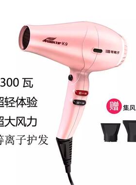 艾信电吹风机理发店发廊大功率3010负离子护发家用风筒发型师专用