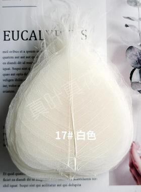 蝉之翼天然菩提叶脉书签辅料押花材料拍摄道具树叶子标本茶漏