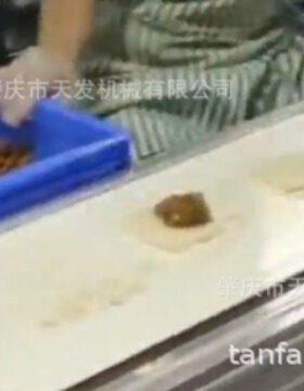 米鸡产线可以生产米糯饭块米饼团 612糯米饼 汉生堡大口饭紫菜