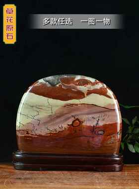 广西草花石原石奇石画天然石头摆件观赏石国画石镇宅景观石风水石