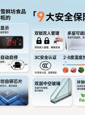 幼儿园食品留样柜双锁温度显示厨房小型保鲜柜蔬菜饮料冷藏展示柜
